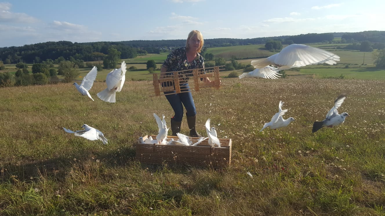 Eine Frau lässt auf einem grasbewachsenen Hügel weiße Tauben aus einem Holzkäfig frei und symbolisiert damit Frieden und Freiheit. Im Hintergrund ist eine malerische Landschaft unter blauem Himmel zu sehen.